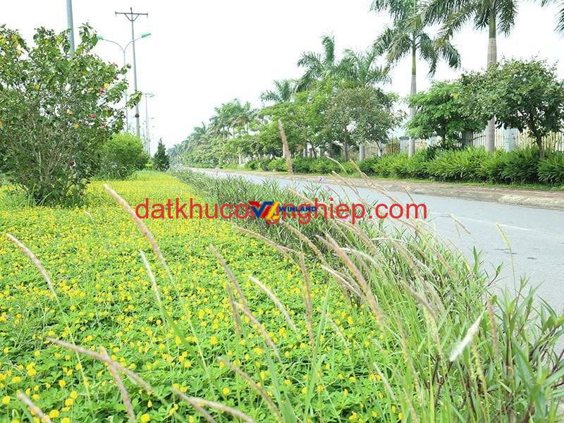 duong-noi-bo-kcn-phu-nghia