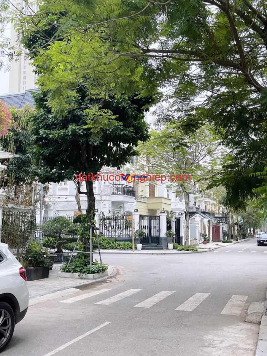 z4695637401099_7e5e211fff384dd06aec9acb619f1ece