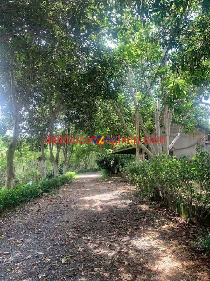 z4698543286813_928f7339a98ea1e7548a4639b12e40c7