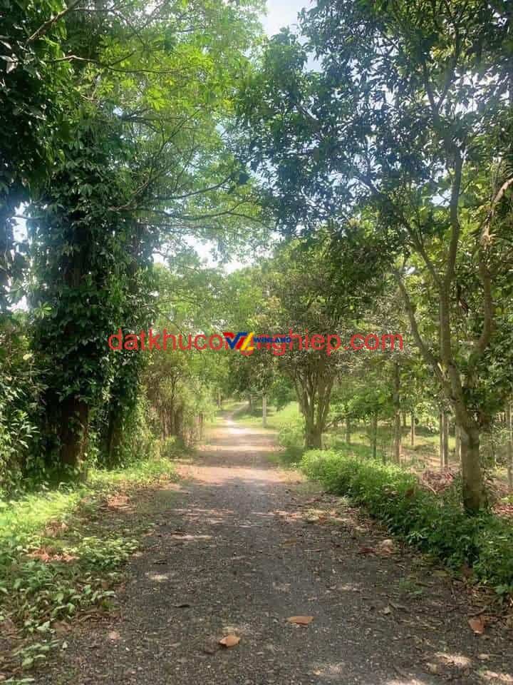 z4698543293730_225279a2b0bee02c00a66f9e9520c3b6