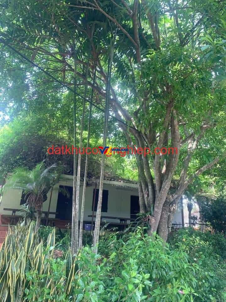 z4698543301172_4aa3f7d4182a4494138cbfda221d23a9