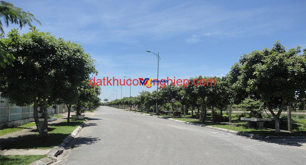 kcn-bao-minh-duong-noi-bo-1