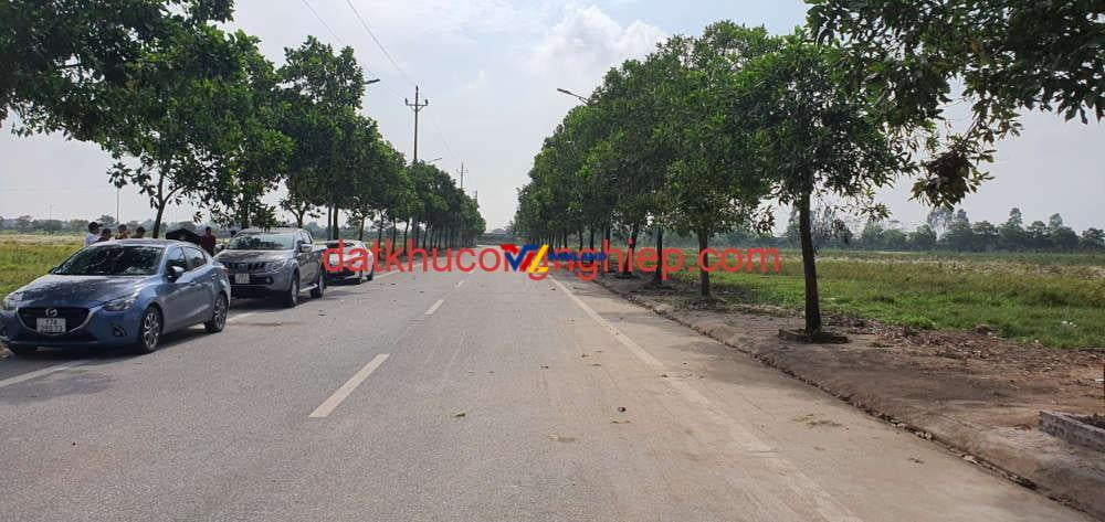 ccn-do-luong-thai-binh-noi-bo