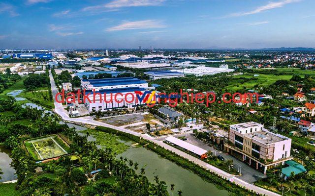 namcaukien-cac-giai-doan-phat-trien-04