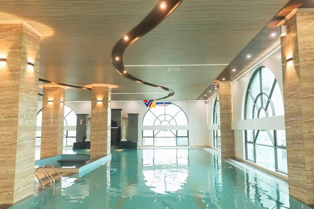 z5341378794217_f3155b8e5c2a60dfabd4bf0e74379e78