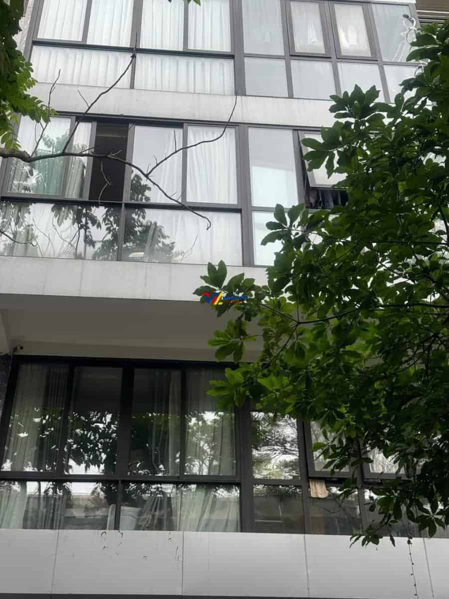 z5443587038765_32203af3e6c376136356420067fb5251