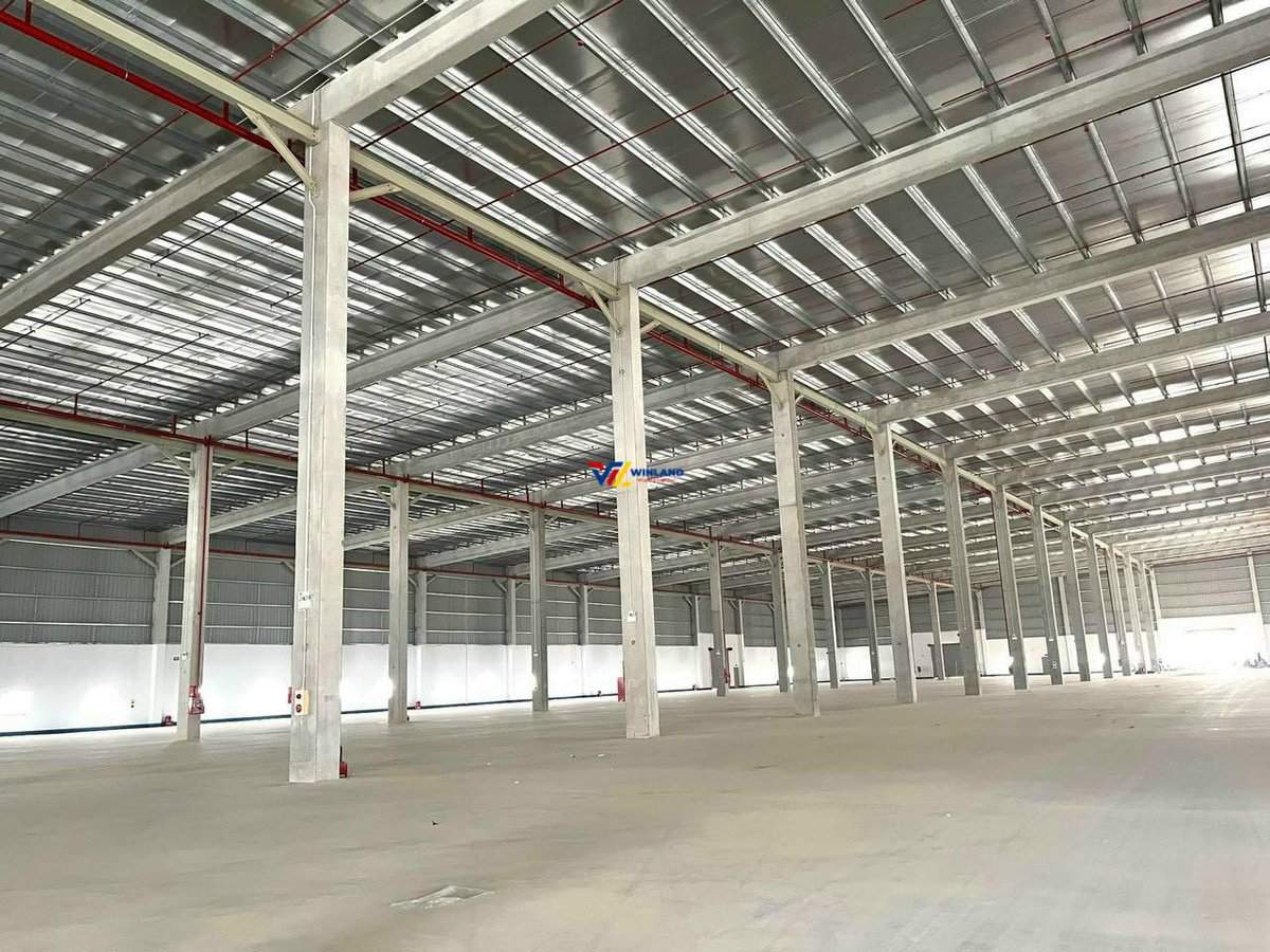 z5445402097870_6e87e1ba9db719ba44fbb904b4c30aac