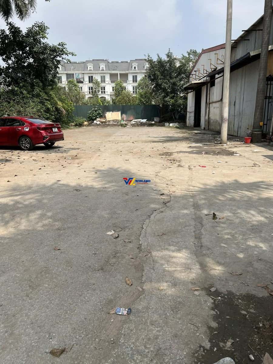 z5465226139002_64918c421e36e1b0100f14343cbd4570