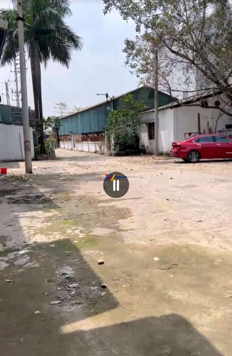 z5465228574078_4b8c1ff00fe549fbded5a79ae76d0034