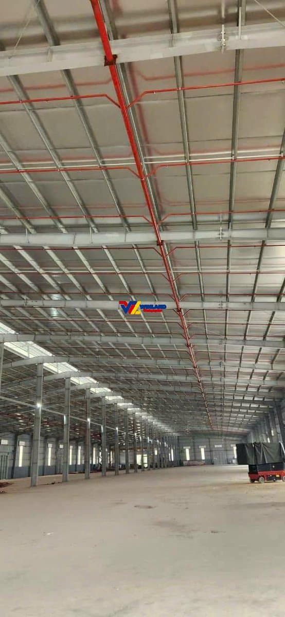 nha-xuong-khoai-chau-hung-yen