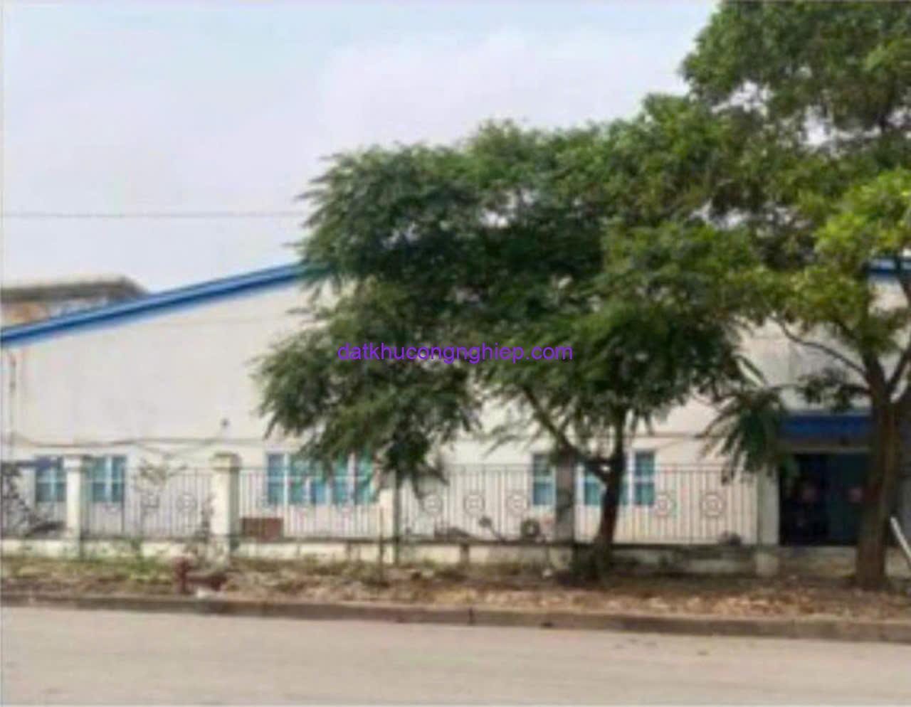 z5857166734346_ee782a946a67b17fe4b46363e660861b