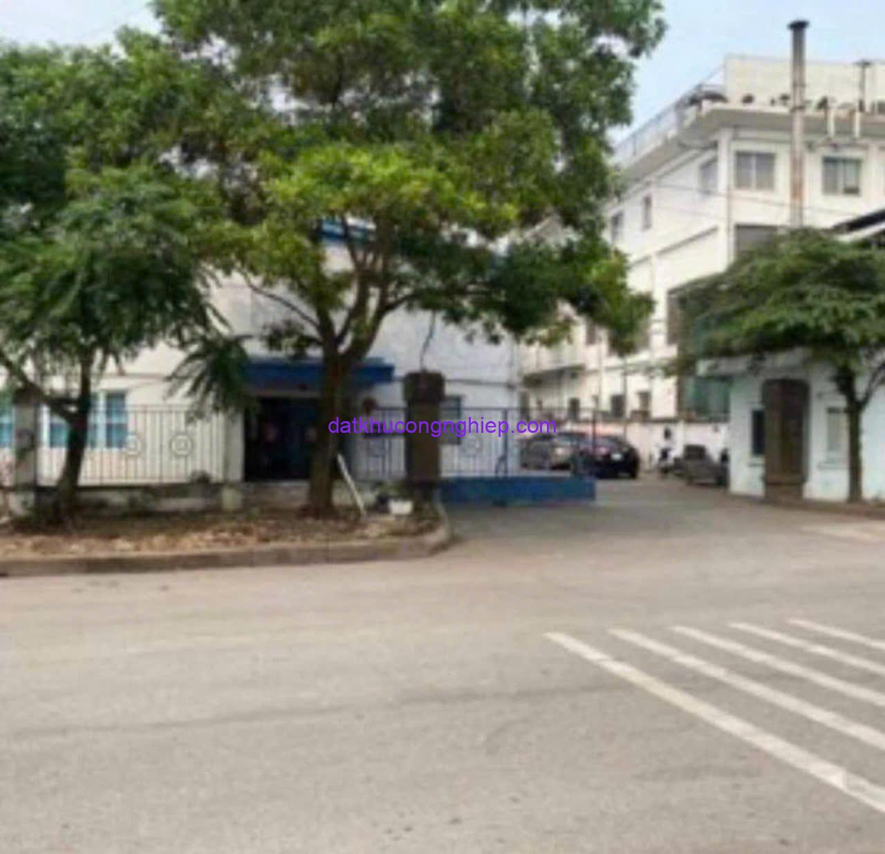 z5857166739172_a4f27a83bb74df6f3e6569104f6eaea8