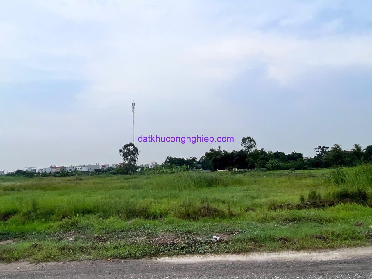 cum-cong-nghiep-tan-minh