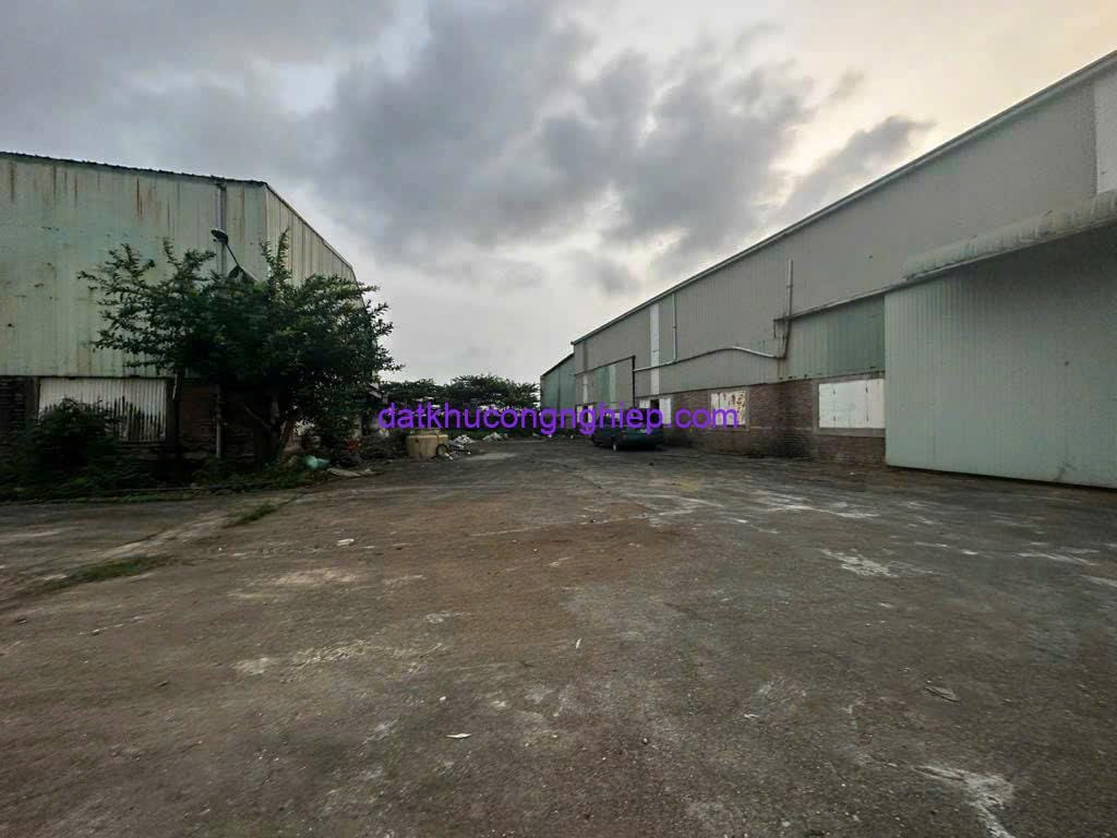 z6207585284917_f1d962f2157a38f48ea525339275229b