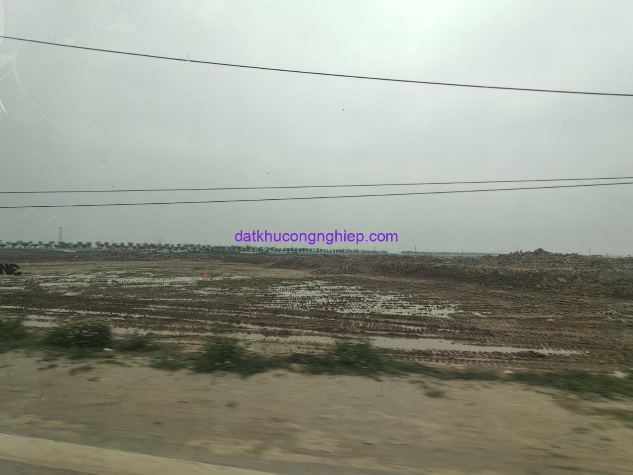 thanh van tan uoc thang 4_2