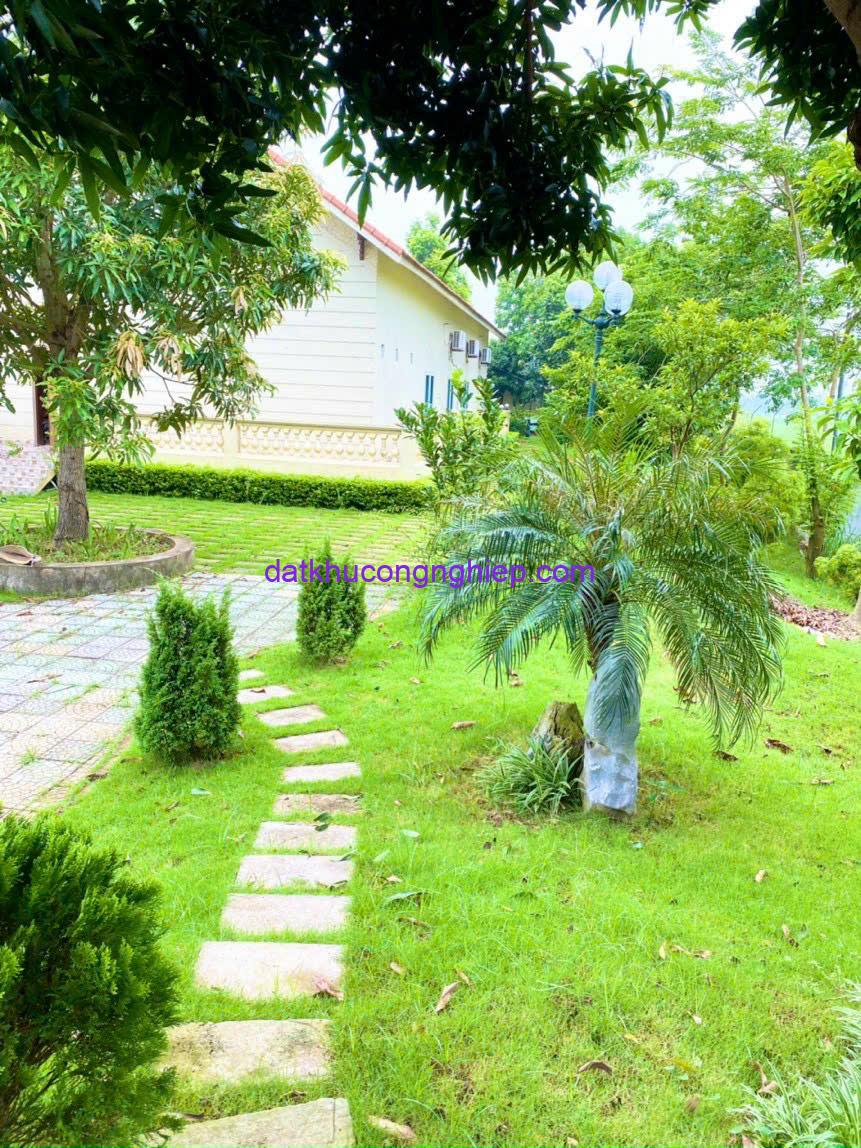 kcn-hung-yen-xuong-may